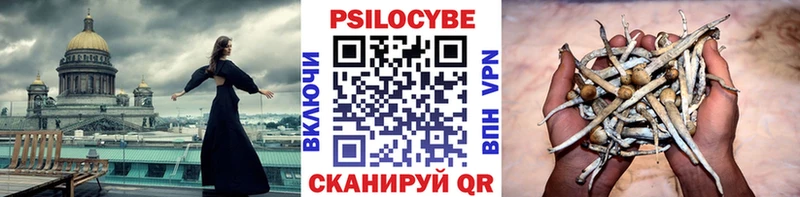 цена наркотик  blacksprut зеркало  Галлюциногенные грибы мицелий  Петровск-Забайкальский 